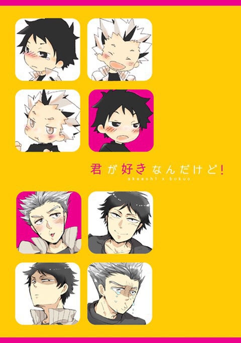 君が好きなんだけど!