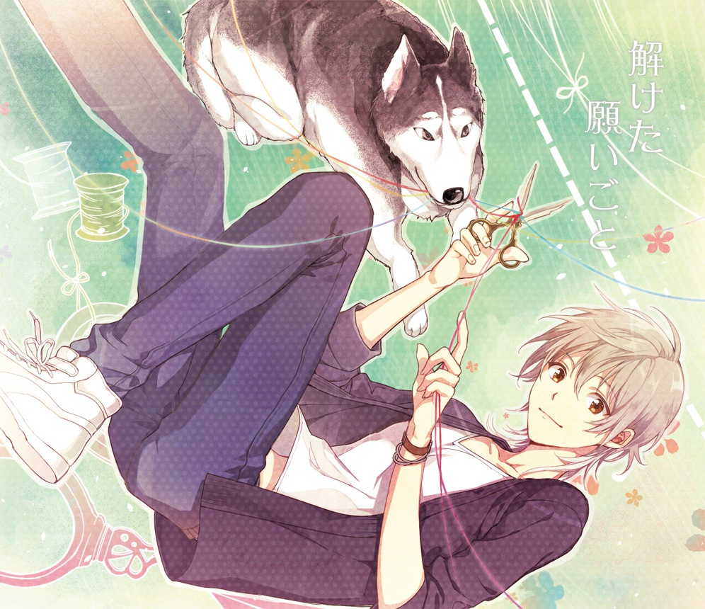 解けた願いごと