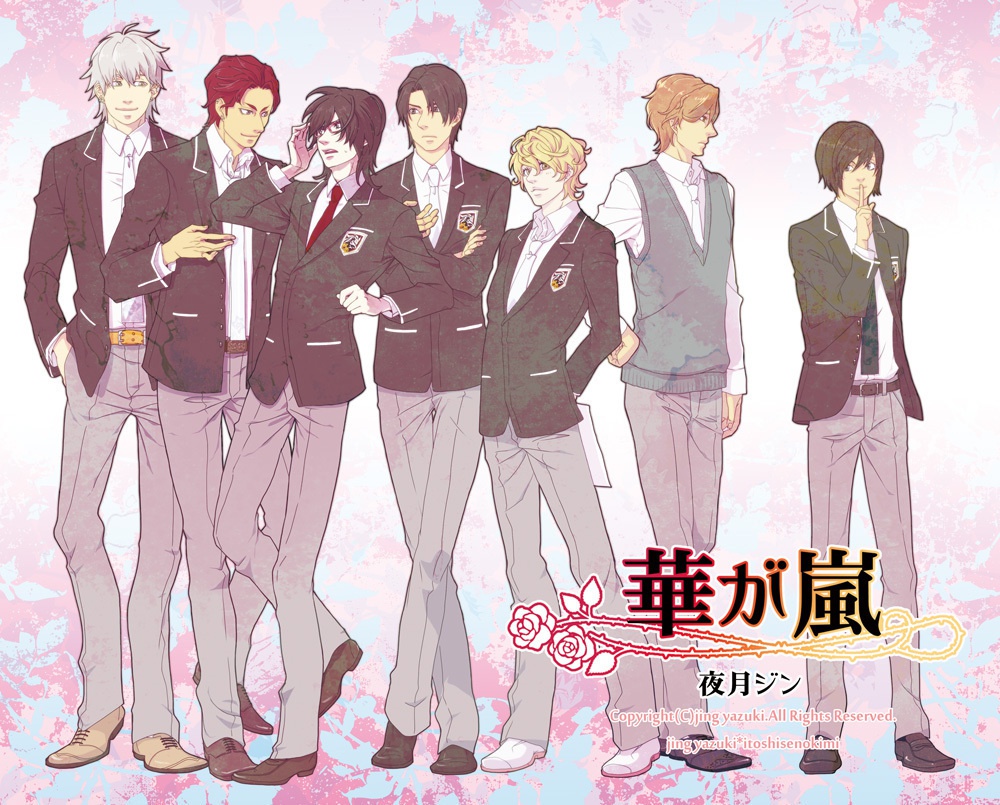 華が嵐【EPUB】
