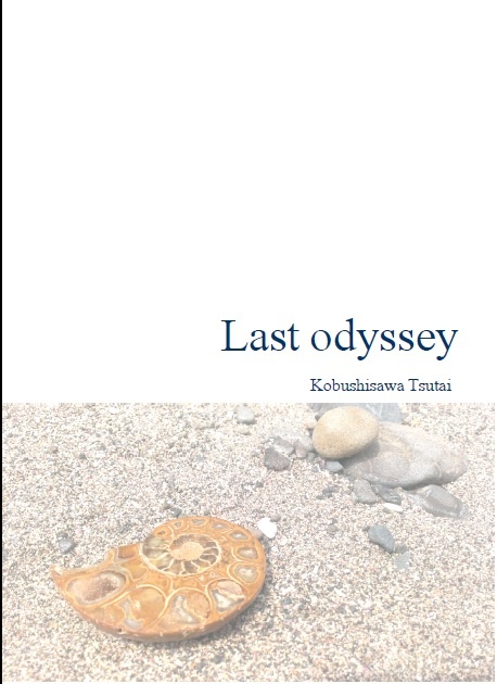 Last odyssey