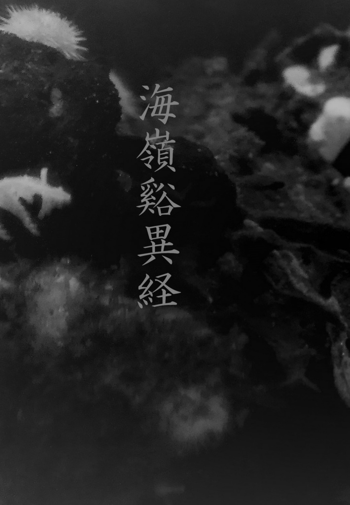 海嶺谿異経