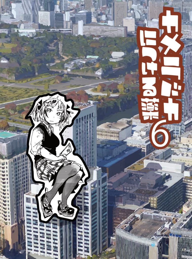 カメラバカにつける薬6